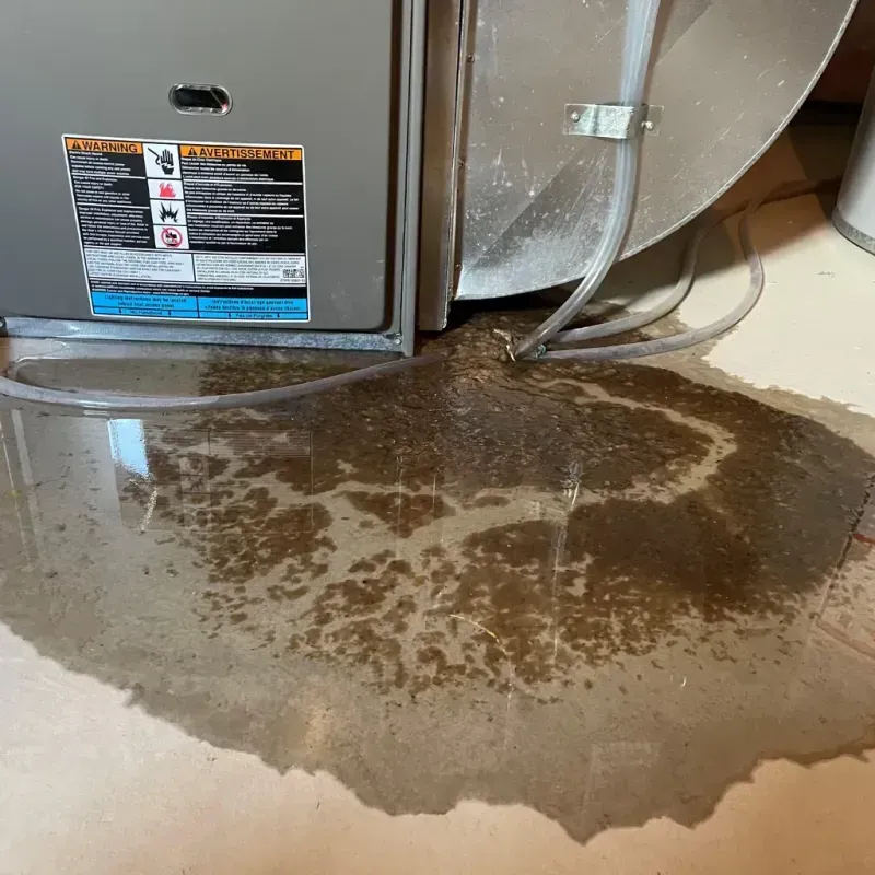 Appliance Leak Cleanup in Gilman, IL